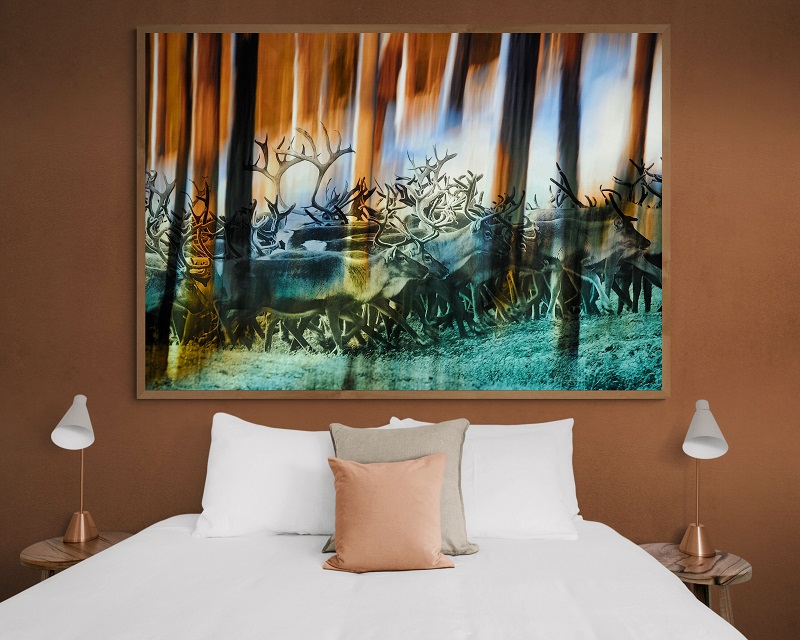 The Dream - Bilde 3