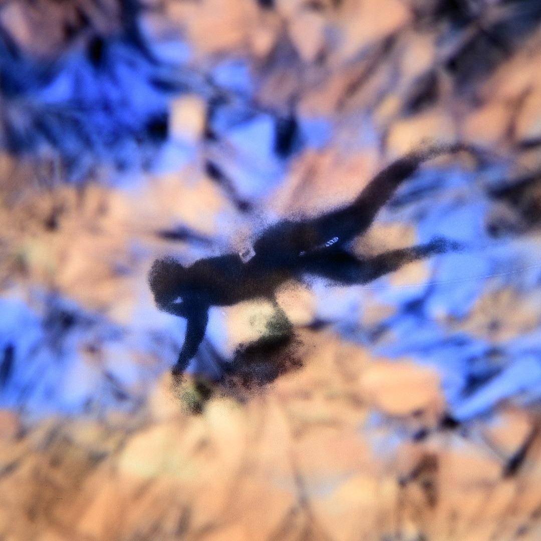 Arctic Diving