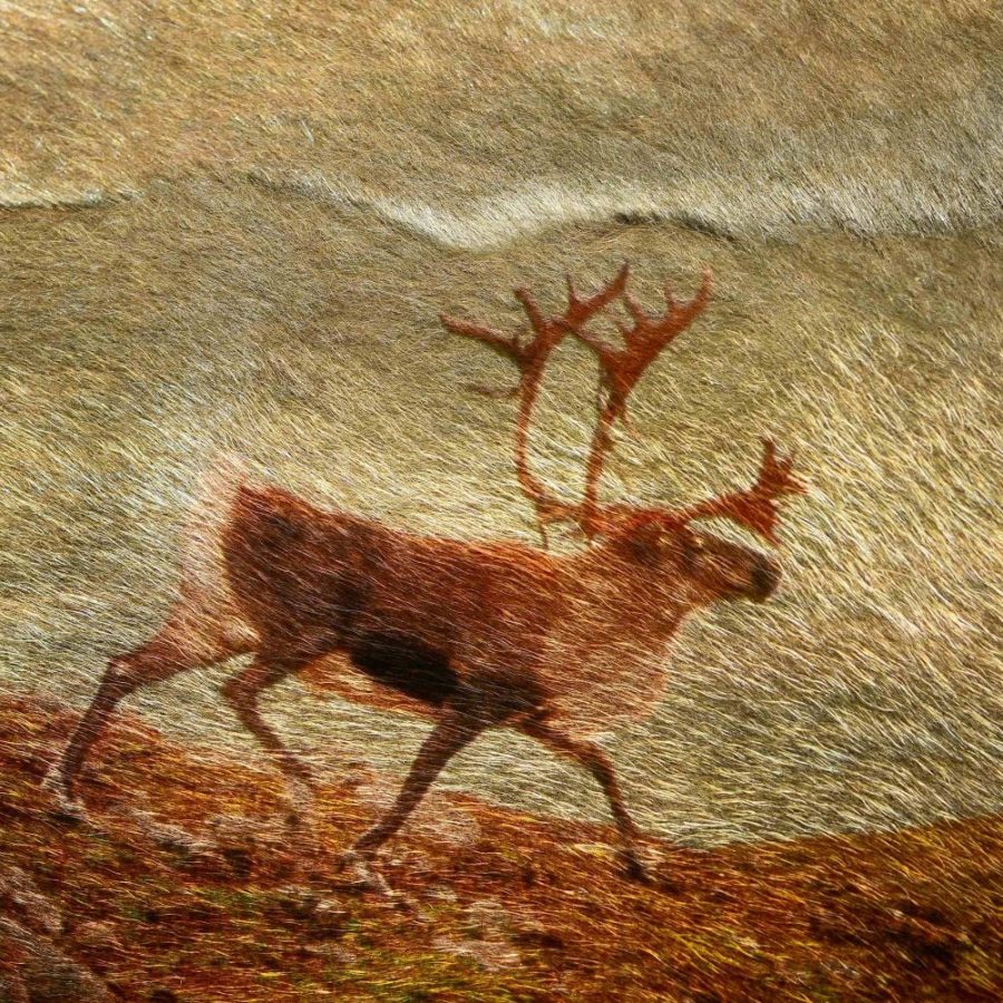 The Autumn Buck