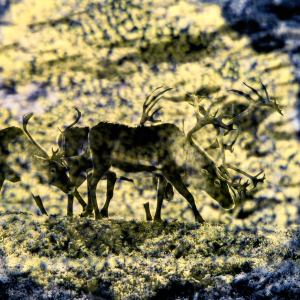 The Reindeer Bucks
