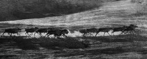 Winter Bucks