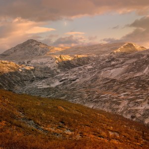 Forollhogna