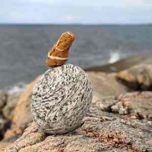 The Stonebird