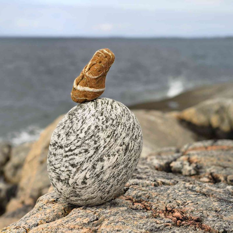 The Stonebird