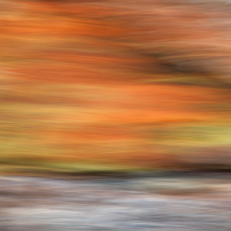 Movement in Landscape